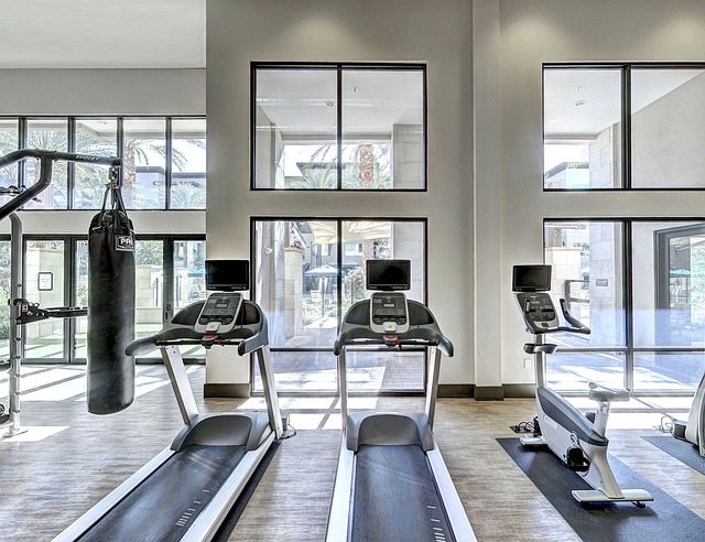 two treadmills and an exercise bike facing big windows