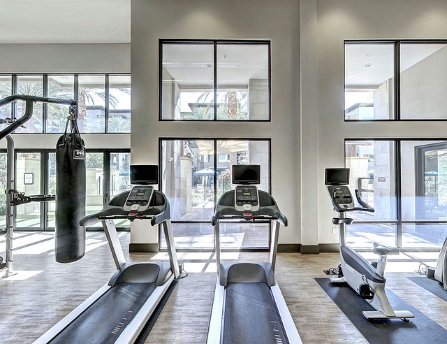 two treadmills and an exercise bike facing big windows